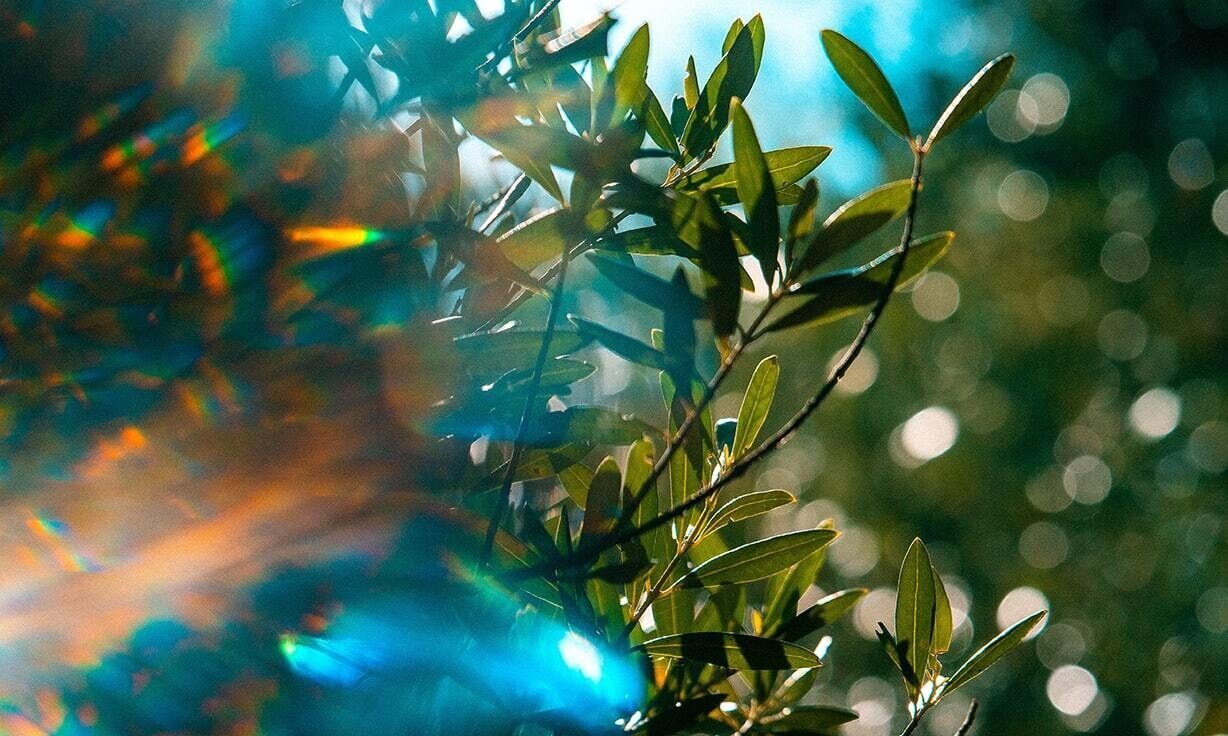 Novel Genetic Sequencing Technology Helps Researchers Find Answers in Cases of Pediatric Rare Disorders