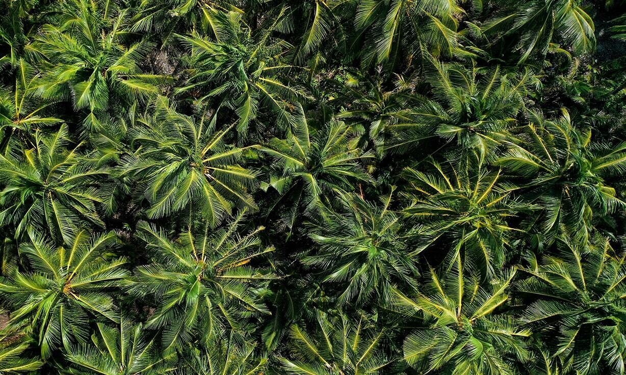 Element Biosciences Establishes Scientific Advisory Board