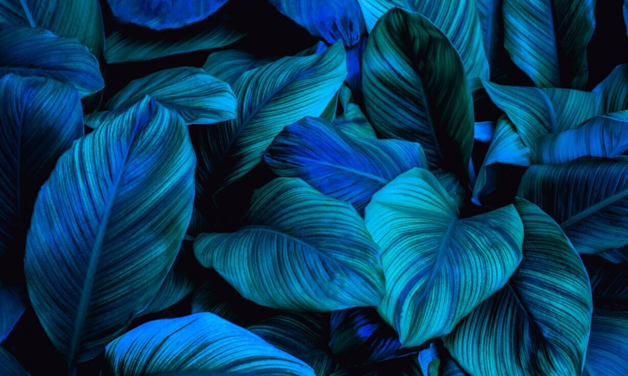 Element Biosciences Adds Genomics Executive to Leadership Team to Accelerate Corporate Development