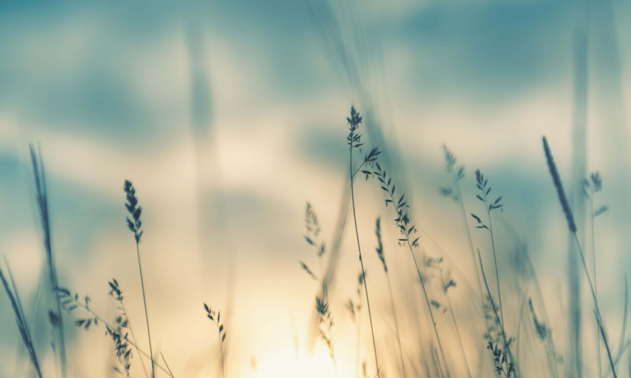 Element Biosciences Announces Over 100 Commercial Orders of its AVITI System and Surpasses Q2 Sales Goals