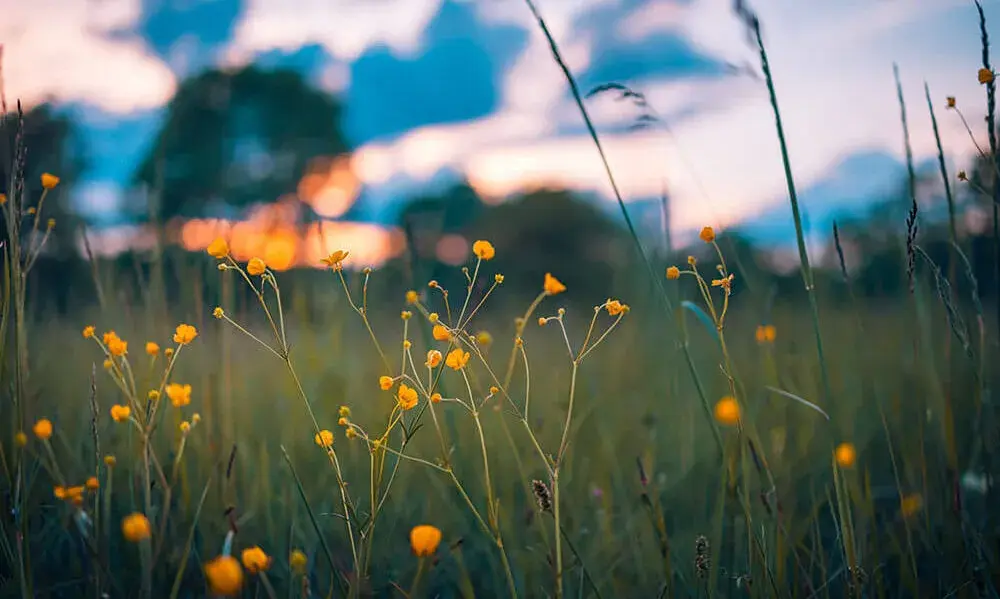 Adobe Stock 436729810 1