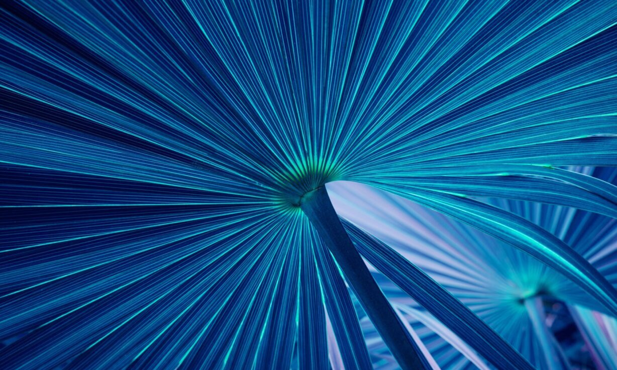 Element Biosciences Welcomes William P. Donnelly to its Board of Directors