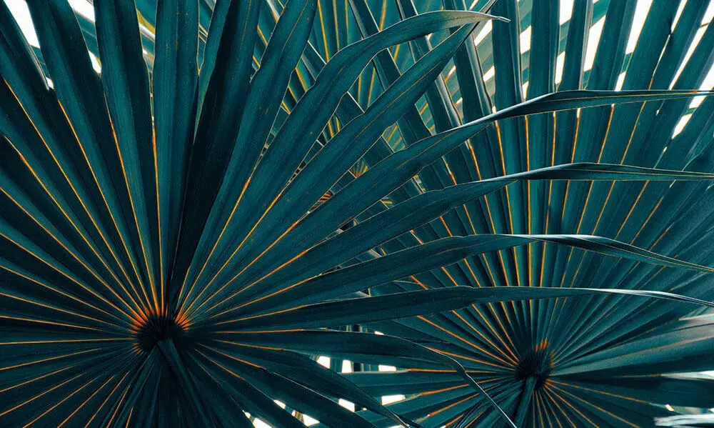 Adobe Stock 566292110 1