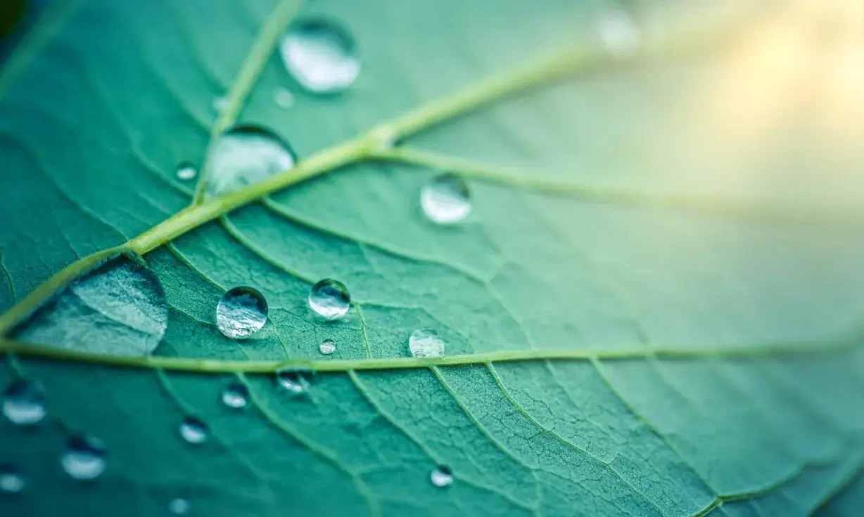 Adobe Stock 621280423 min