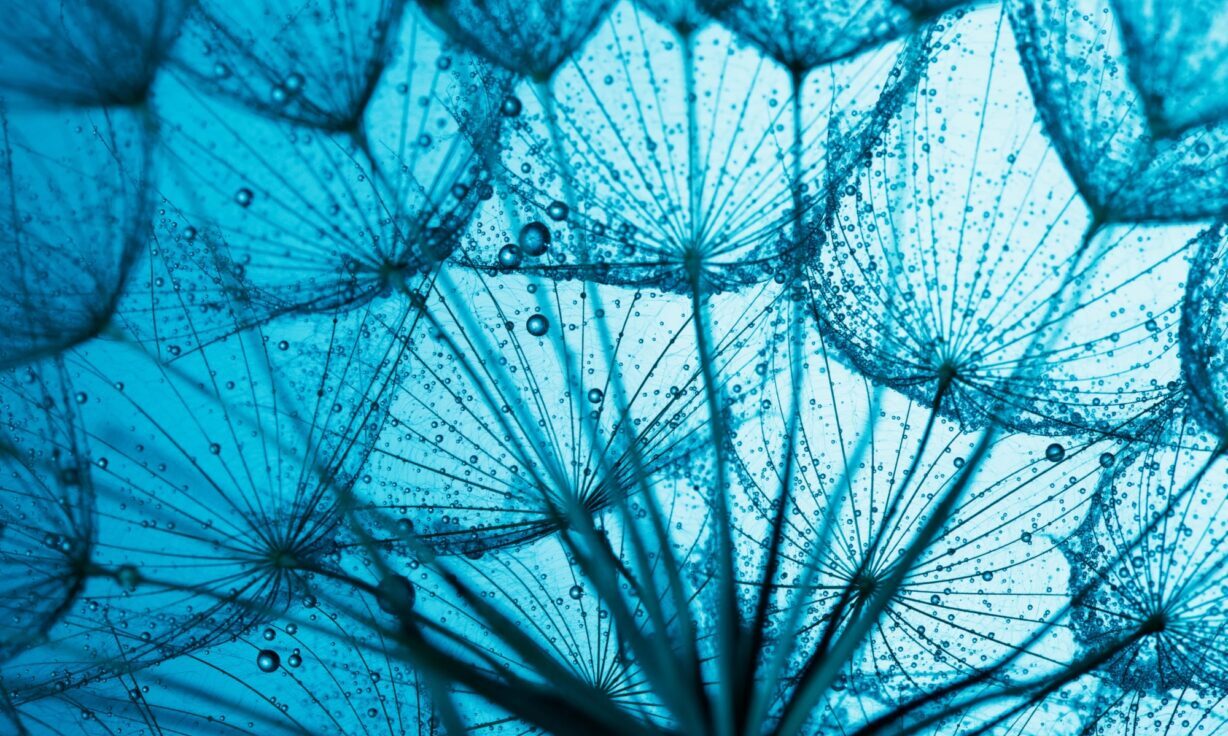 Element Biosciences Announces AVITI™ FIT, a Suite of Products to Empower More Researchers with Flexible Genomic Solutions