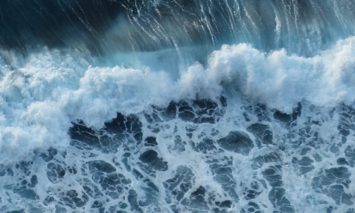 Element Signs Multiple Global Distributors to Bring the Power of AVITI™ to Customers Around the World