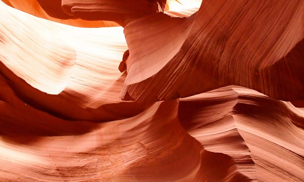 Phase Genomics Collaborates with Element Biosciences to Optimize Cytogenomics for Liquid and Solid Tumor Samples