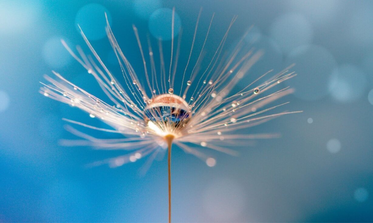 Revvity and Element Biosciences Announce Collaboration to Improve Next Generation Sequencing Research Workflow