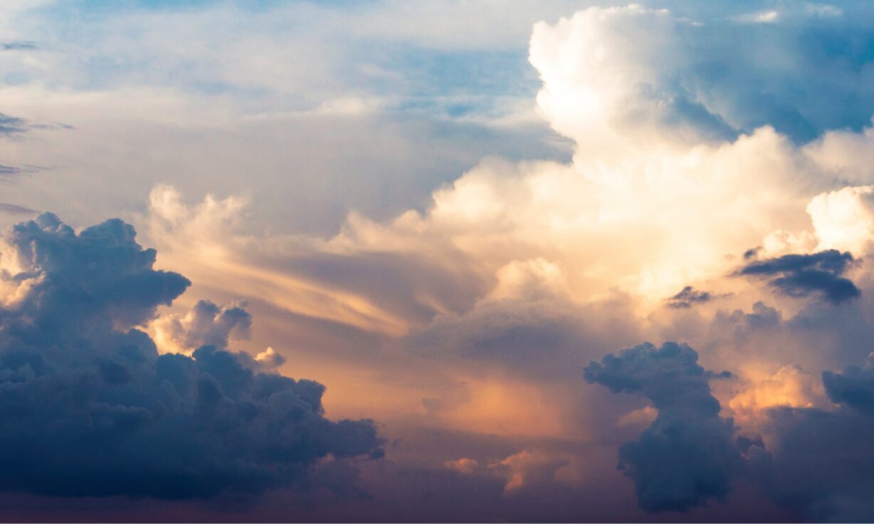 Element Chief Scientific Officer Shawn Levy will speak at the Revolutionizing Next Generation Sequencing Conference March 28