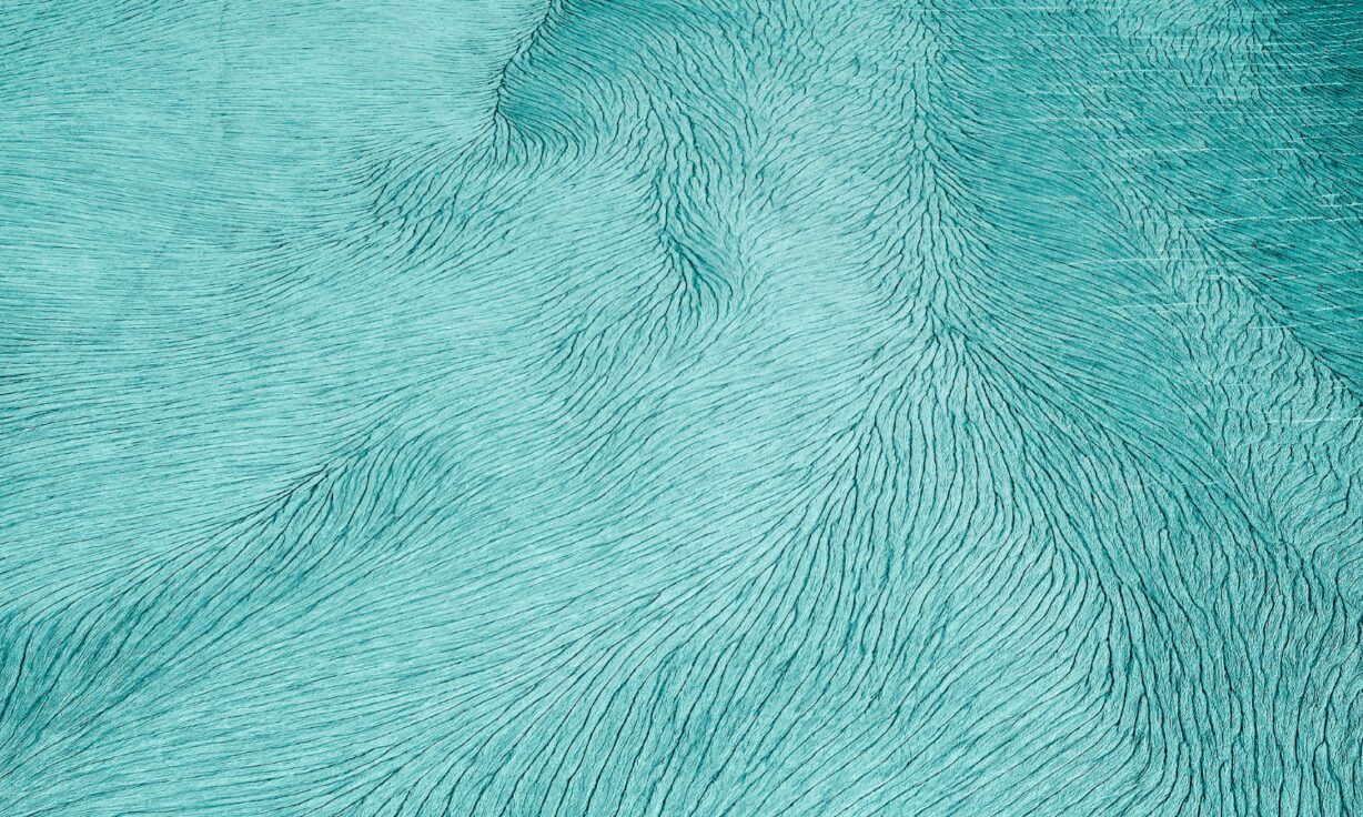 Element to Present Data and Innovation Roadmap at AGBT