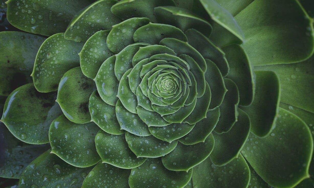 Element Partners with Informatics Experts Sentieon and Google DeepVariant to Validate the AVITI™ System’s NGS Data Quality for Variant Calling