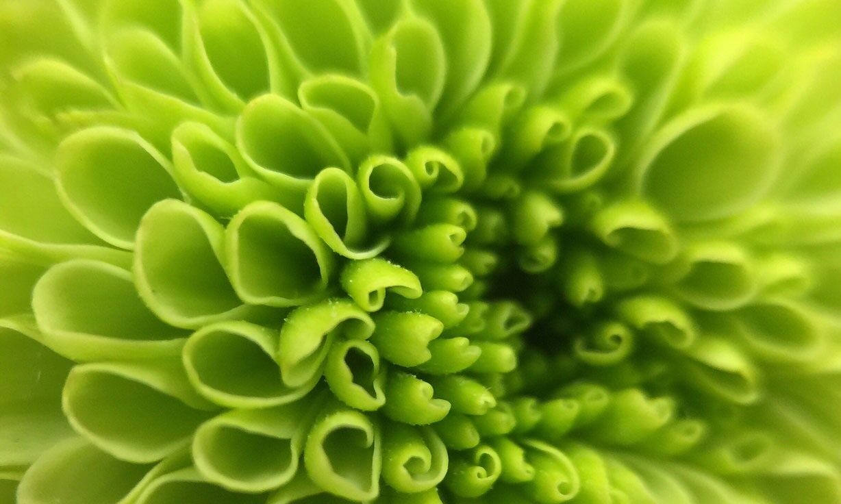 Element's New AVITI™ System Shows Seamless Compatibility and High Performance with KAPA Library Preparation Kits in Multiple NGS Applications