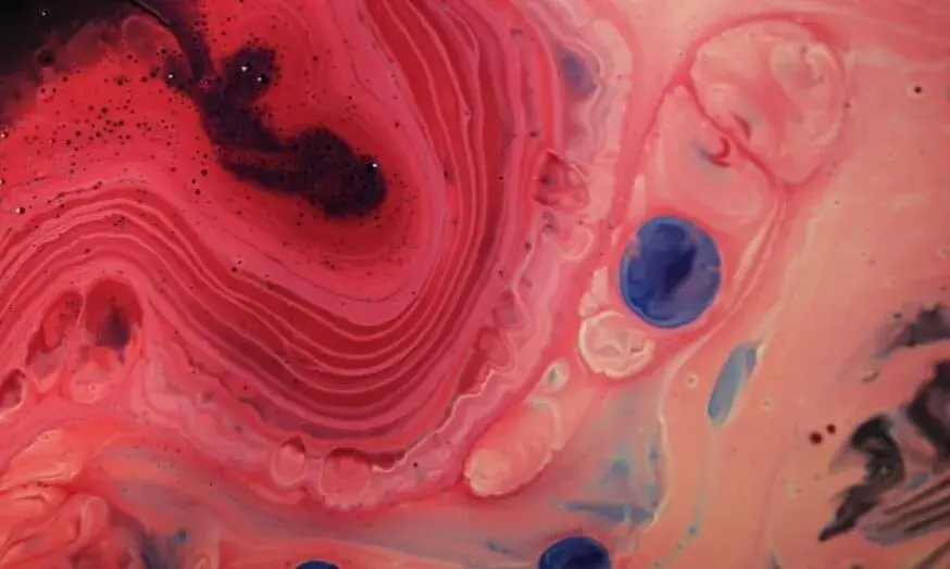 Element Biosciences Bolsters Leadership Team