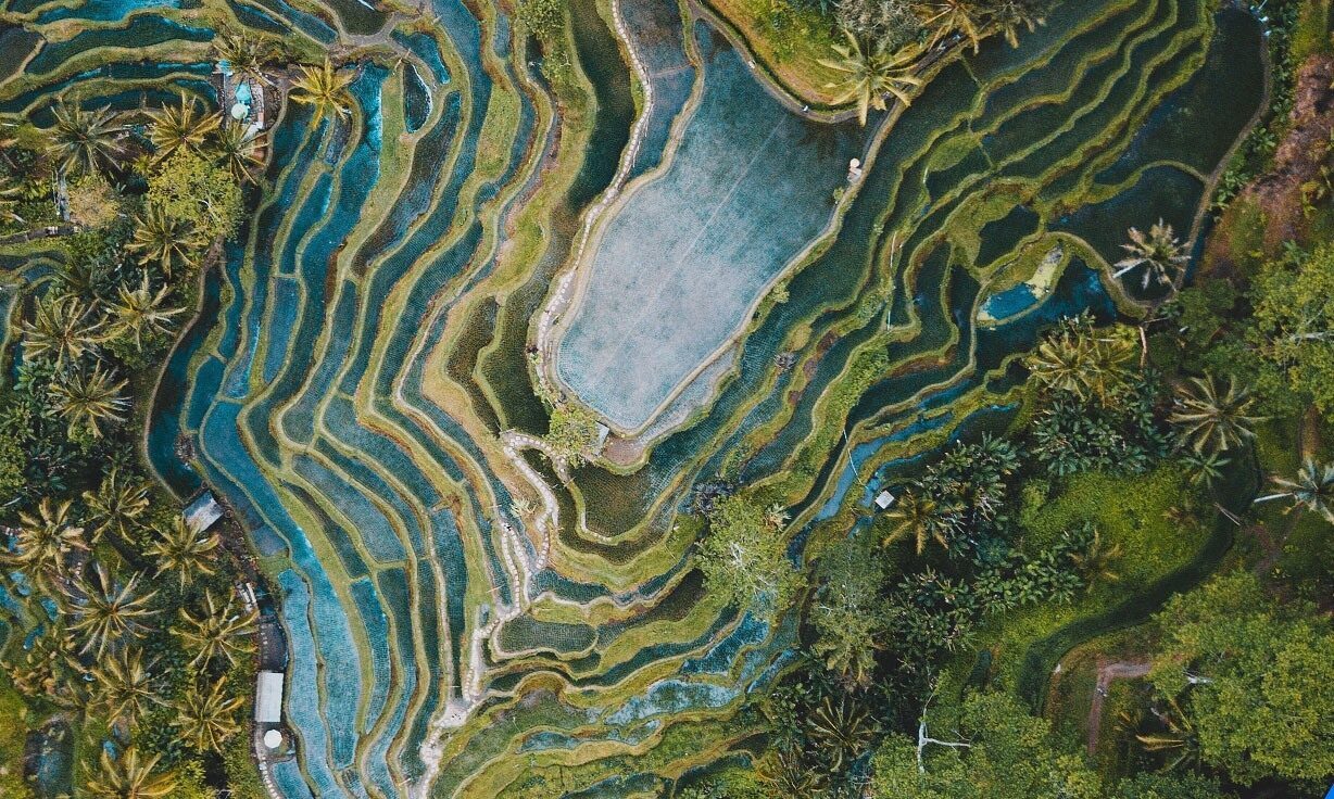 Element Partners with Agilent Technologies to Validate SureSelect™ Target Enrichment Panels on Element’s AVITI™ System