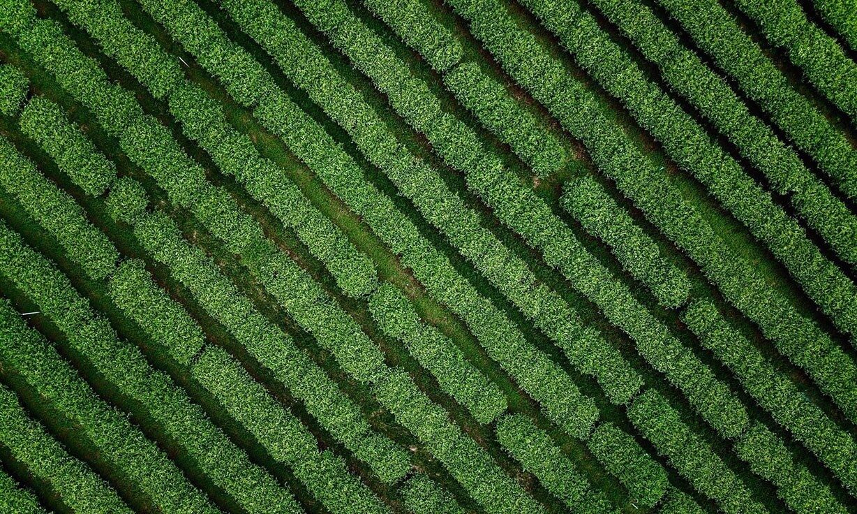 Element Partners with Watchmaker Genomics to Validate Watchmaker Library Preparation Kits on Element’s AVITI™ System