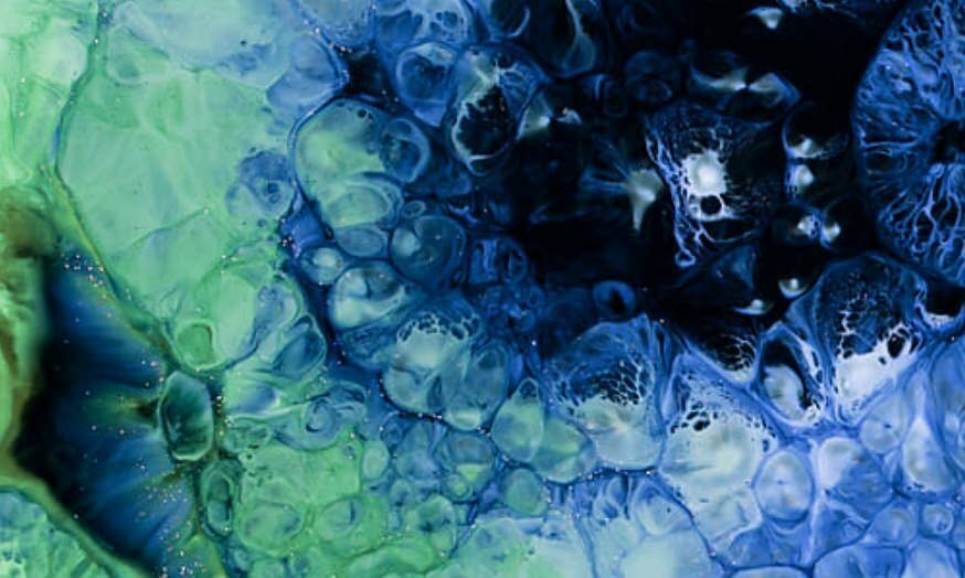 Element Partners with Fabric Genomics to Demonstrate the AVITI™ System’s NGS Data Quality and to Explore Clinical Applications