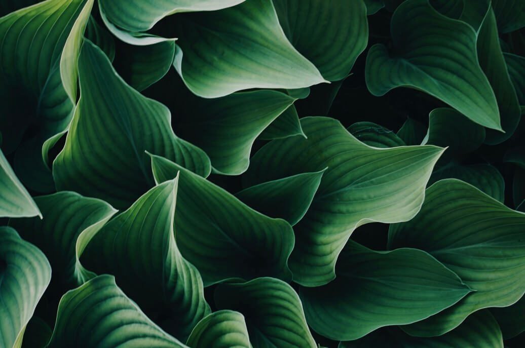 Element Strengthens Leadership Team to Advance Novel Applications Development and Scientific Affairs