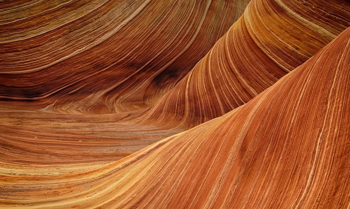 Element Biosciences showcases new science and upcoming chemistry advances at AGBT 2023