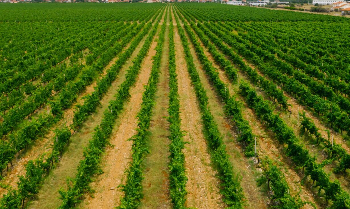 AT AGBT Ag, agrigenomics scientists confront the challenges of food production in a changing climate head on