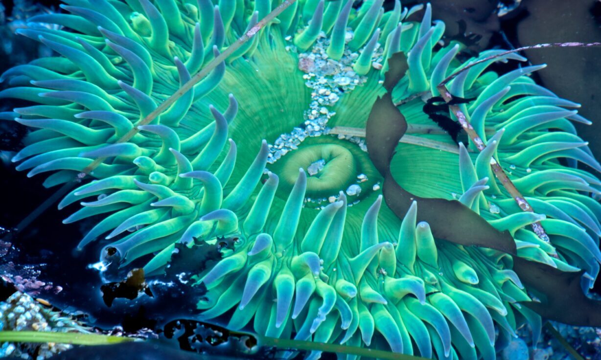 Taking Bold Steps into the Future to Redefine What is Possible