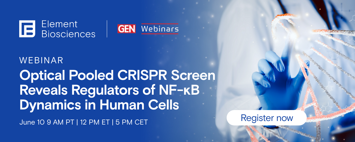 Webinar On-Demand: Optical Pooled CRISPR Screen Reveals Regulators of NF-κB Dynamics in Human Cells 