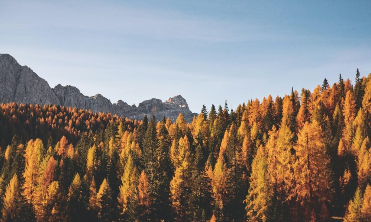 Meet Element Biosciences at SFMPP 2025