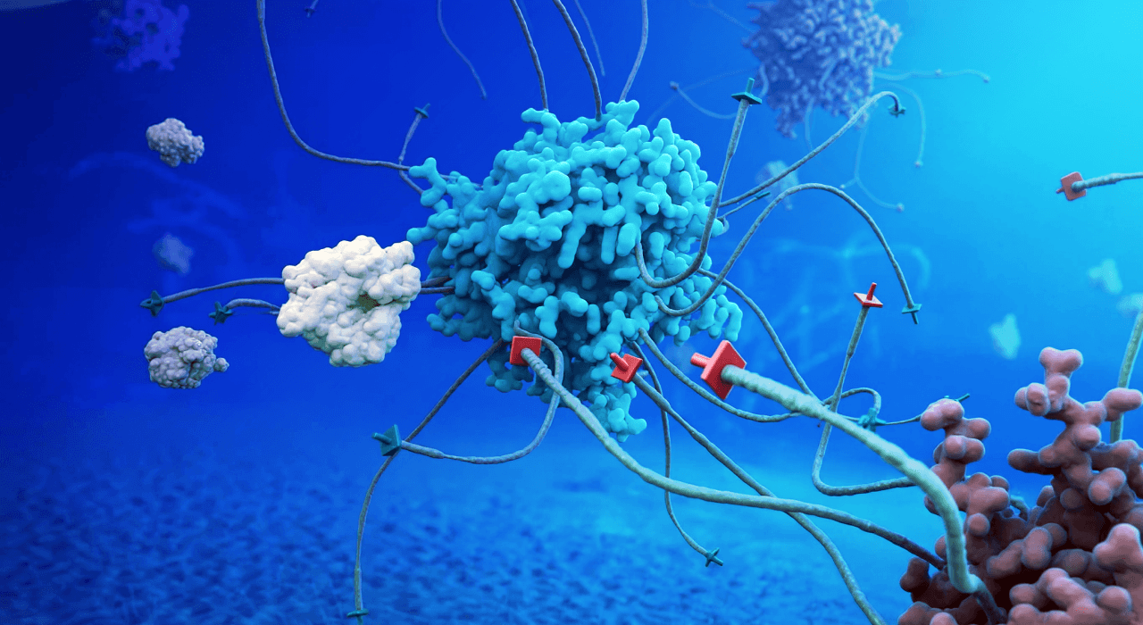 ABC Sequencing from Element Biosciences