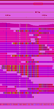 A24-Page_Spatial_Section_180x360_1 1 (1)