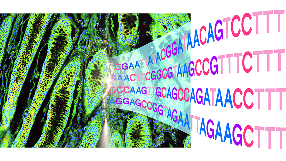 Spatial Profiling with Element Biosciences