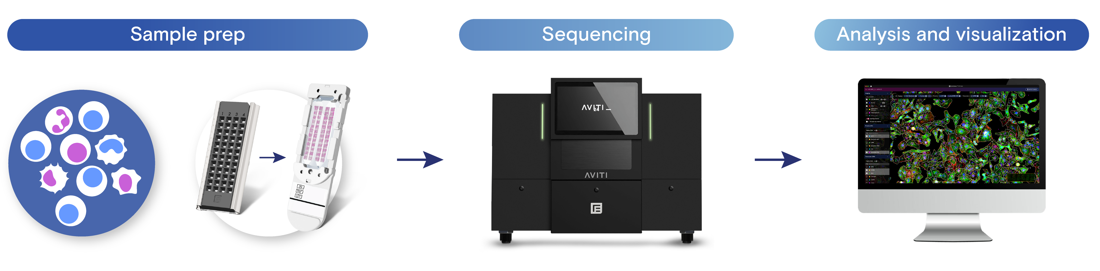 How does Cytos work on AVITI24