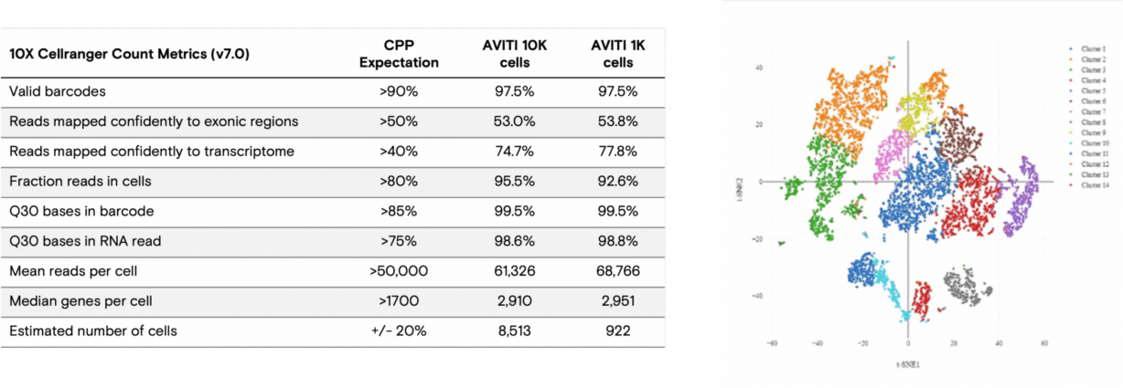 single-cell-existing-image-redone-1