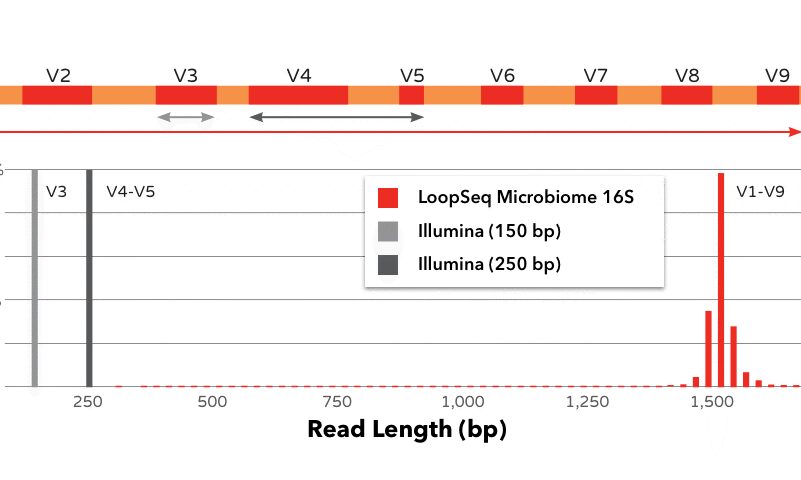 16S Loop Long-reads vs Sanger Sequencing For Bacterial Isolate Identification