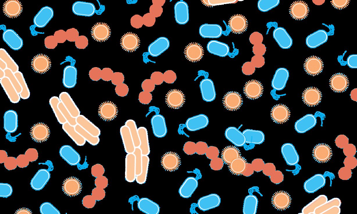16S/18S versus shotgun metagenomics: LoopSeq changes how you choose