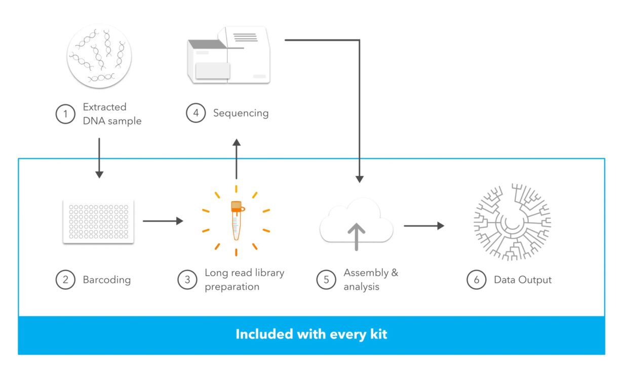 Simple workflow with less pipetting.