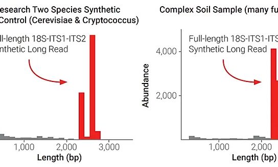 Fungal read lengths with text PNG