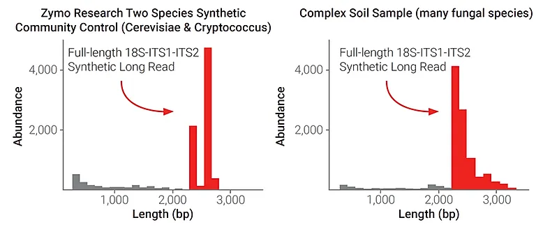 Fungal Read Lengths