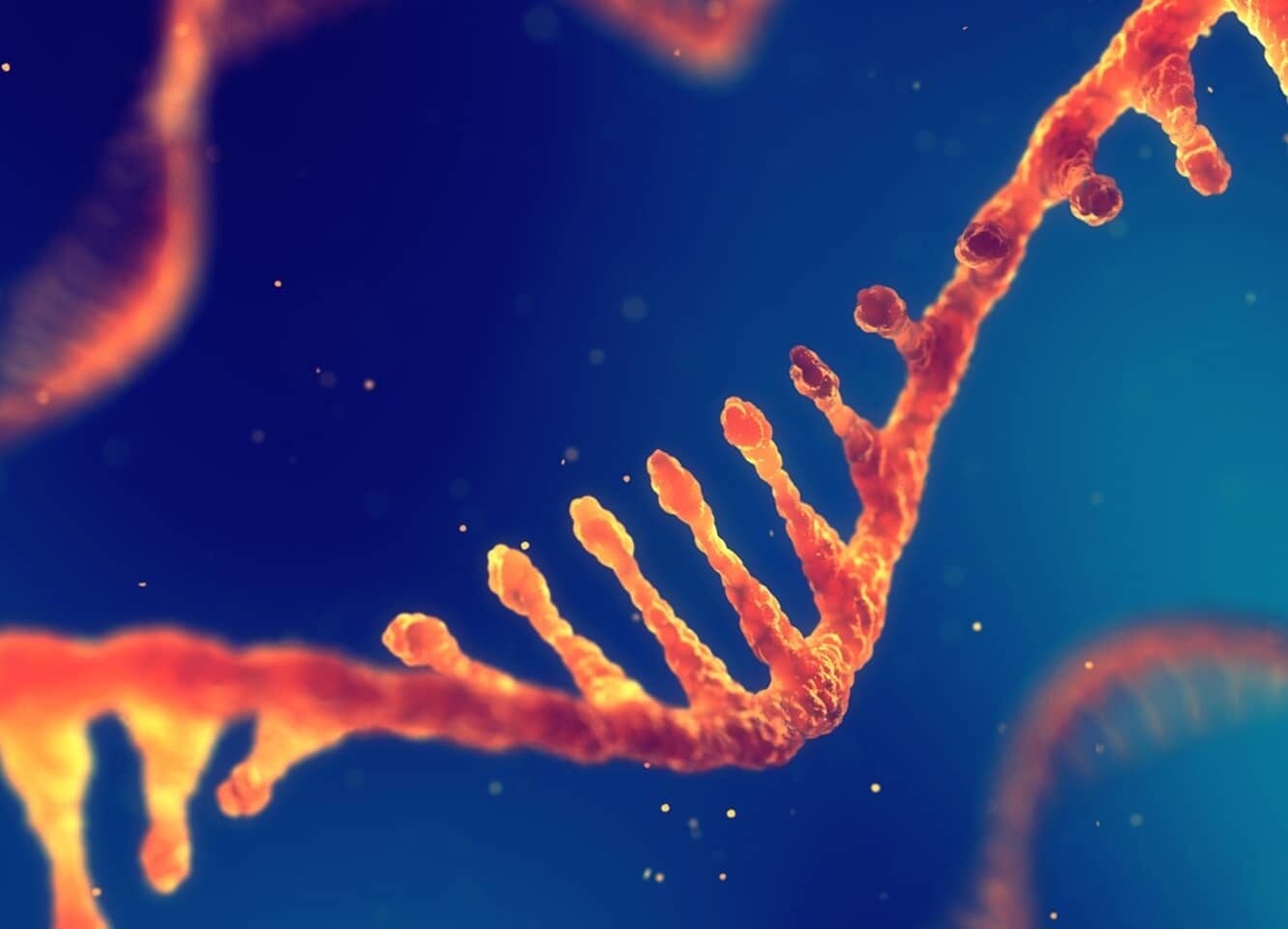 RNA Sequencing Photo