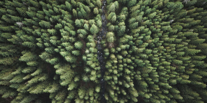 Adobe Stock 416429130 1
