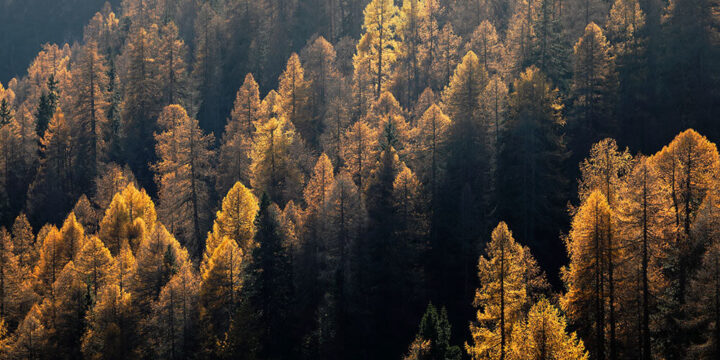 Adobe Stock 563838763 1