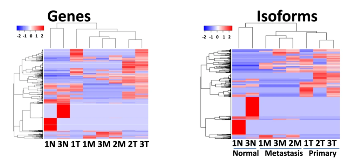 Figure 1. DEIs provide better resolution of the normal, tumor, and metastatic samples than DEGs.