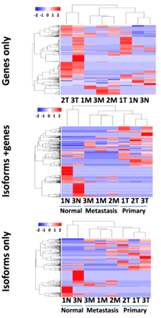 Figure 2. Changes in isoform distribution correlate more closely with the cancer stage than changes in gene expression alone.