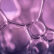 Elem Bio blog purple Bubbles 102522