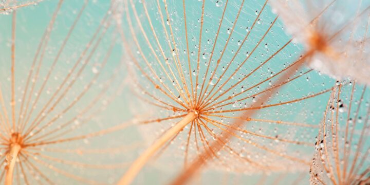 Adobe Stock 140683001 min 1