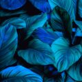 Adobe Stock 294567465 min min