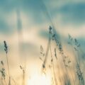 Adobe Stock 357854155 min