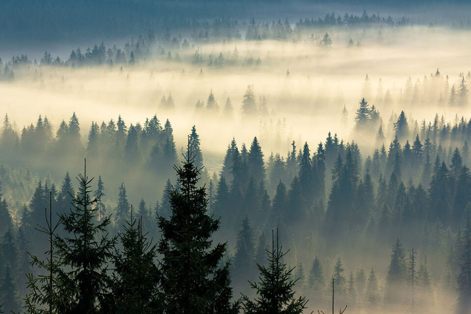 Adobe Stock 349985818