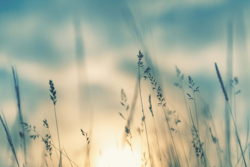 Adobe Stock 357854155 min
