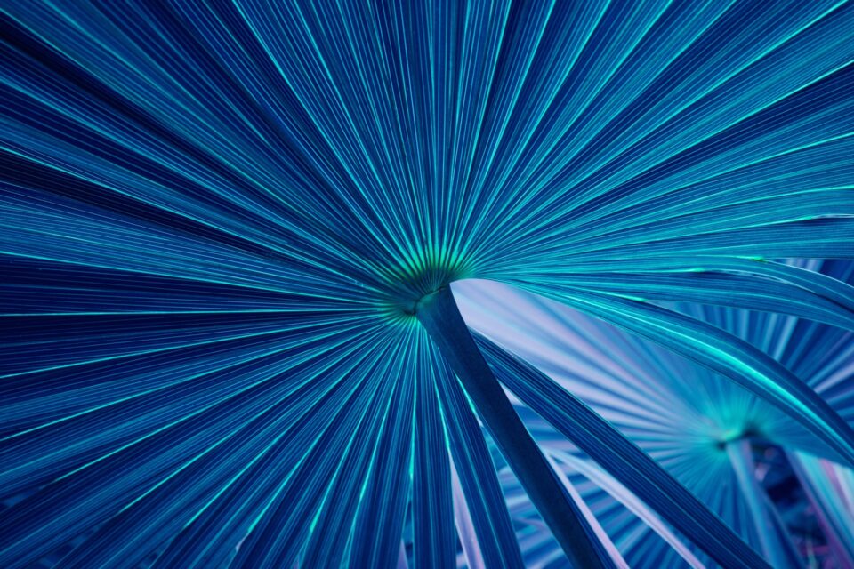 Adobe Stock 513446727 min