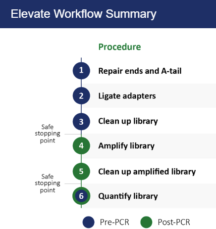 Elevate native library prep workflow (PCR+)