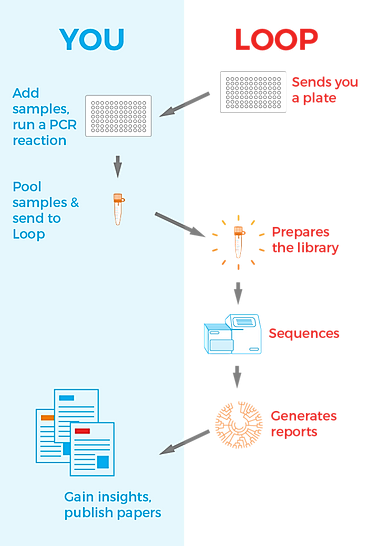 LoopSeq Service Workflow